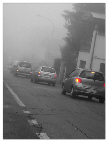 nebbia_1.jpg