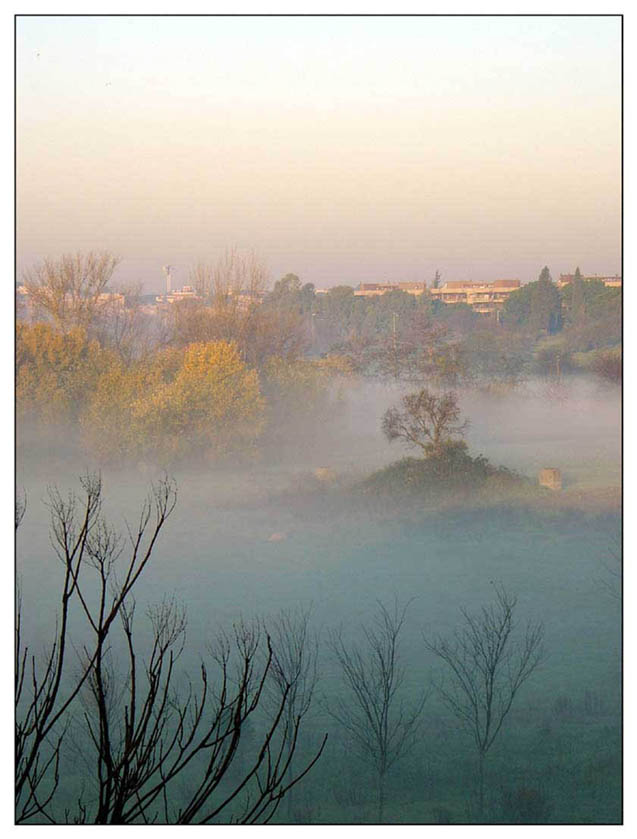 nebbia.jpg