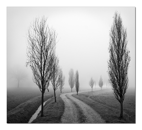 Nebbia 2 b.jpg