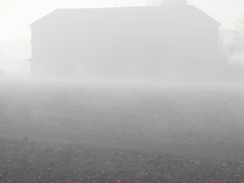 nebbia.jpg