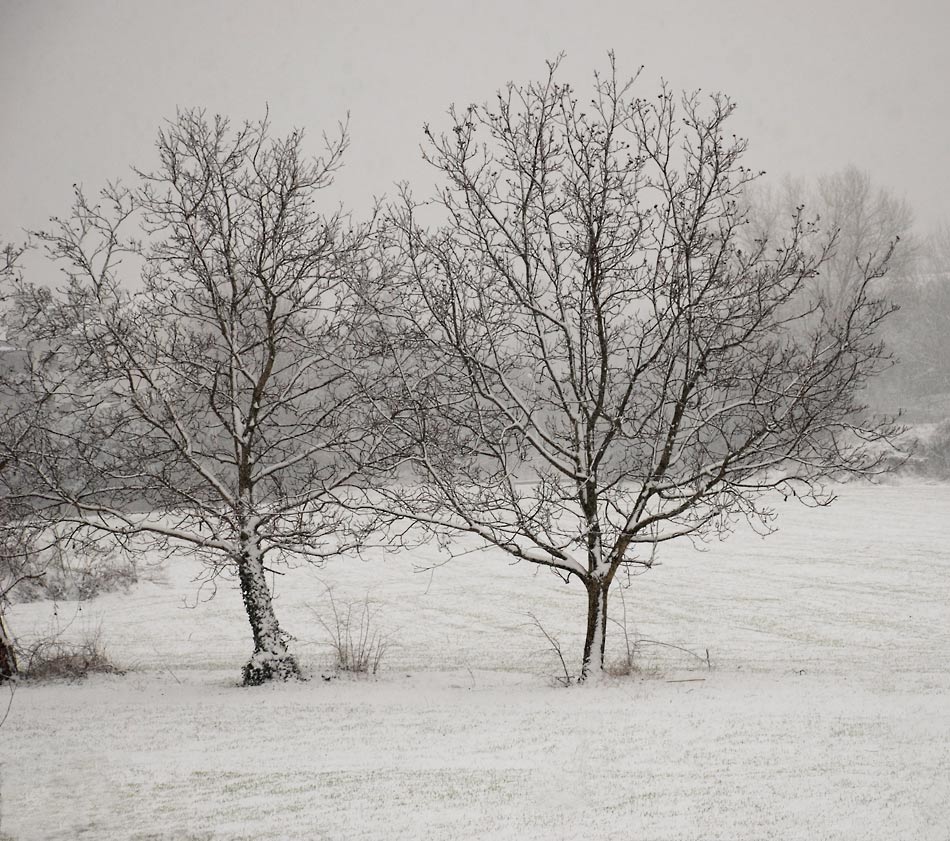neve-di-Natale_1.jpg