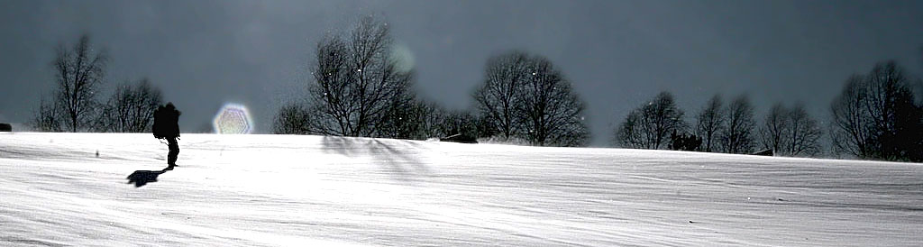 neve_d_cut#2a.jpg
