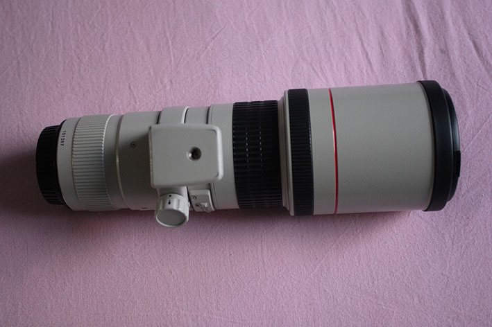 NH8U9984.jpg