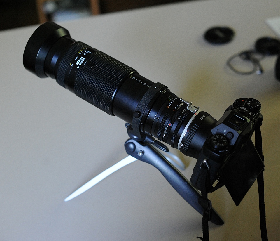 Nikon 75-300 AF DSC_8920 g pic.jpg