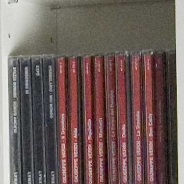 Nikoncrop01.jpg