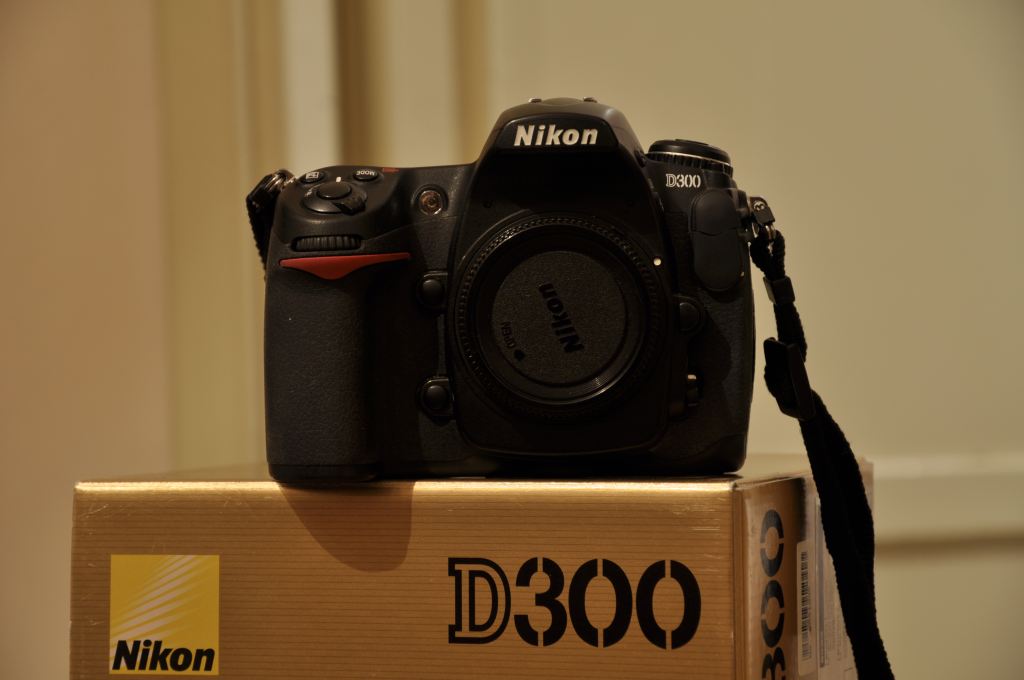nikond300.jpg
