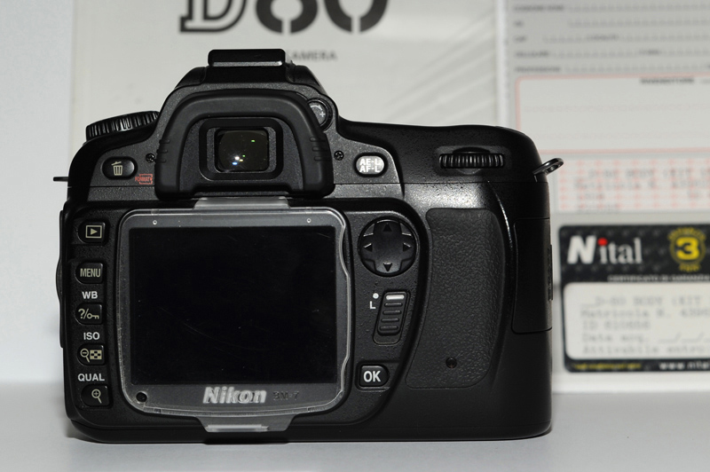 nikond80aa.jpg