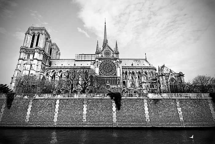 notre-dame-web.jpg