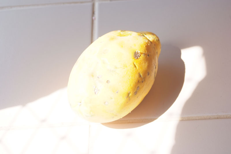 original +3 stop.jpg