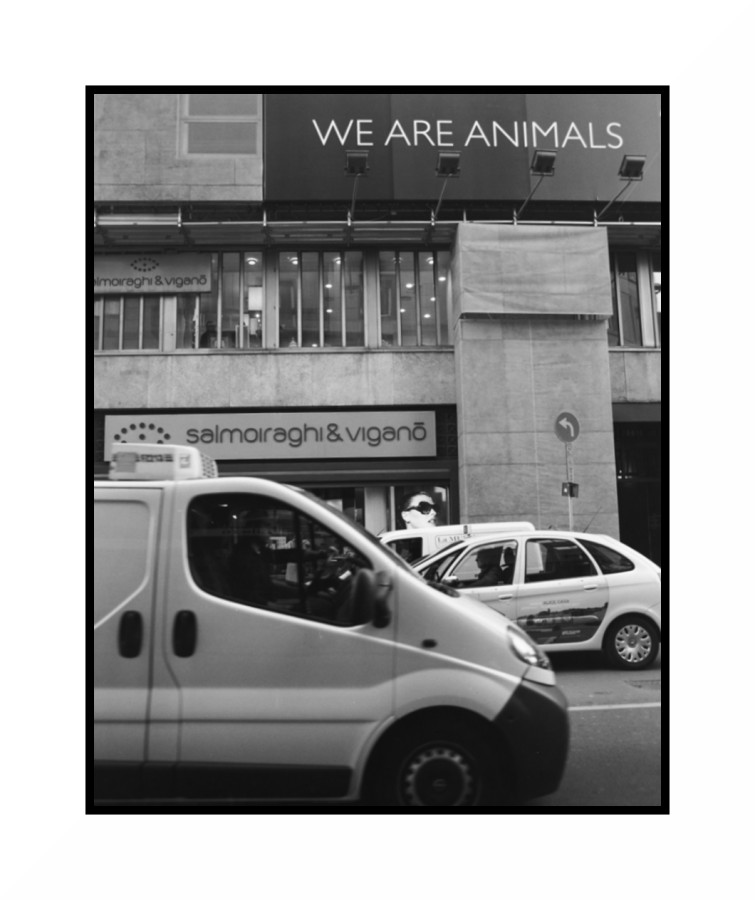 orroreanimals.jpg