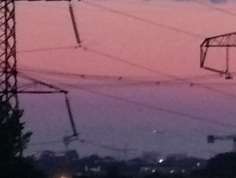 P1000390_cr.jpg