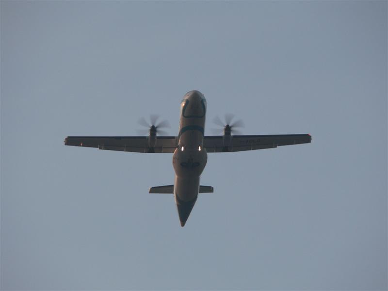 P1000581 (Medium).JPG