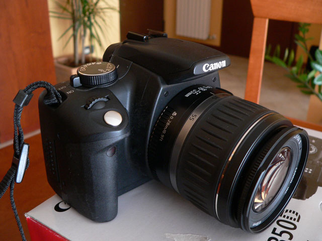 P1000650.jpg