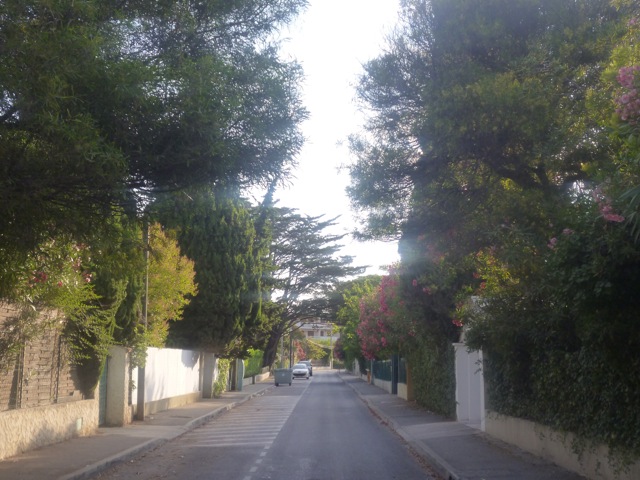 P1000734.jpg