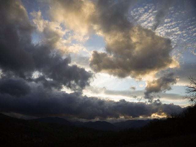 P1000876-2.jpg