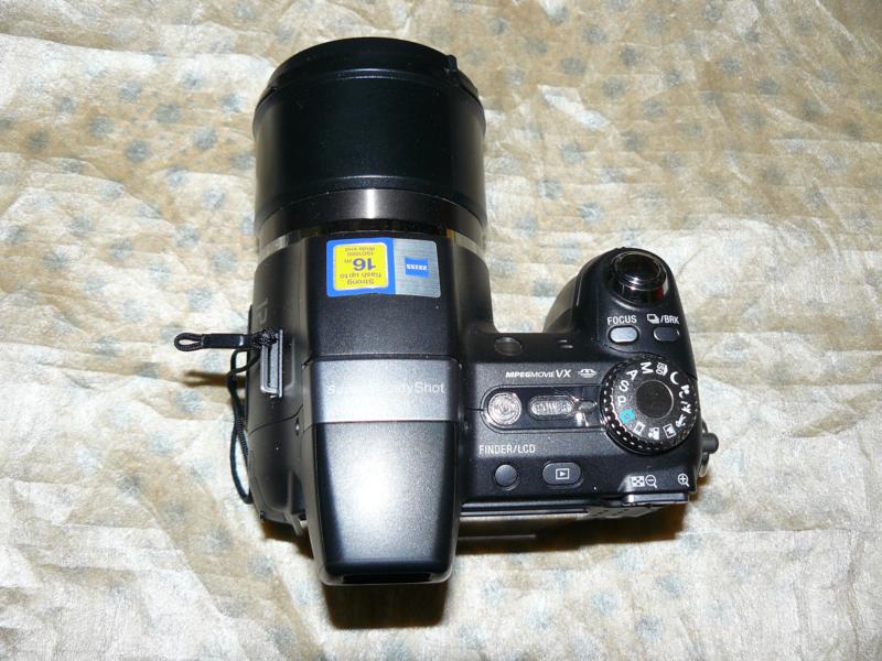 P1010004.JPG