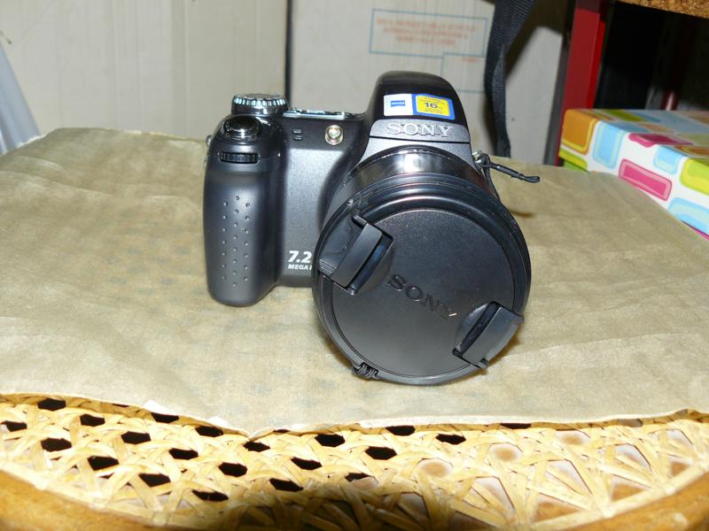 P1010005.JPG