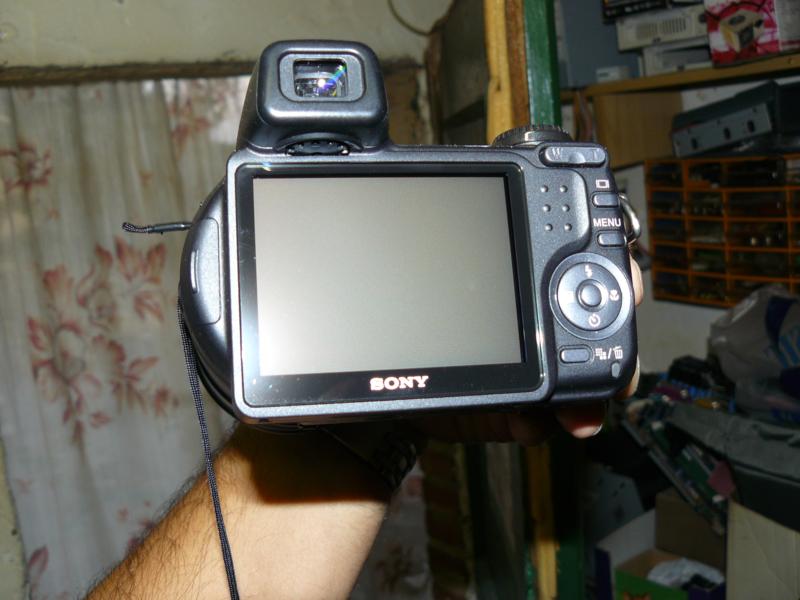 P1010007.JPG