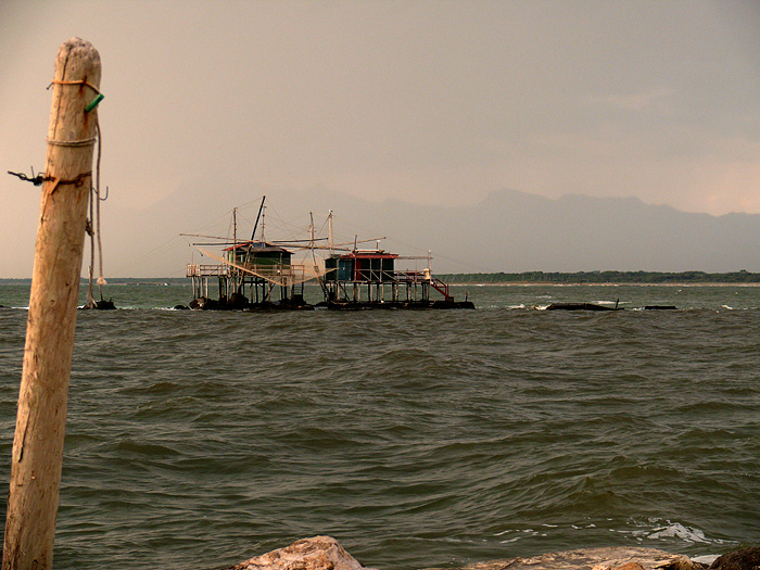 P1010070.JPG