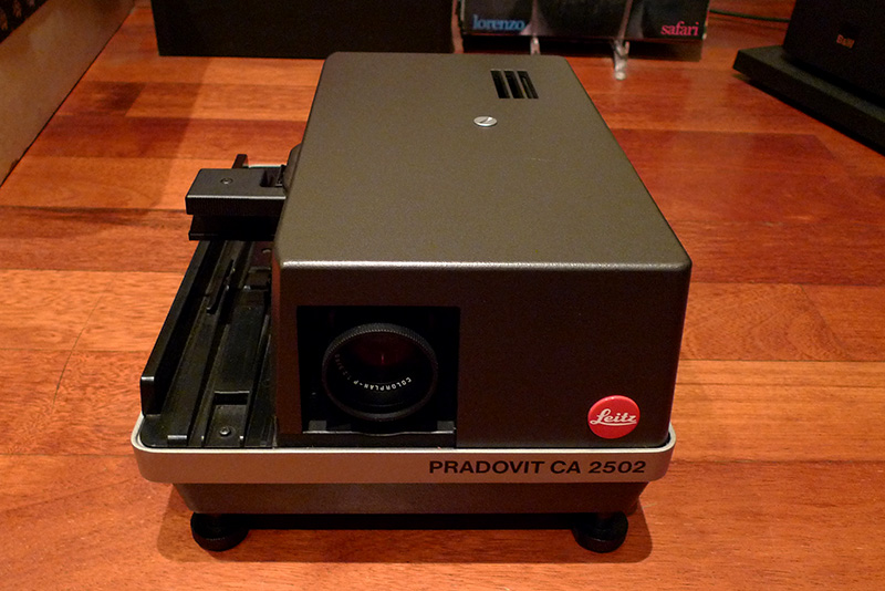 P1010126.jpg