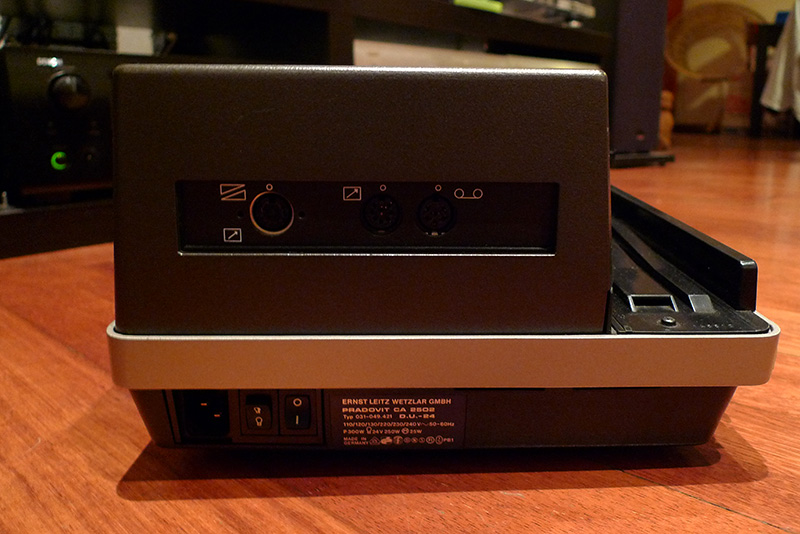 P1010129.jpg
