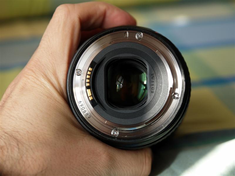 P1020420 (Medium).jpg