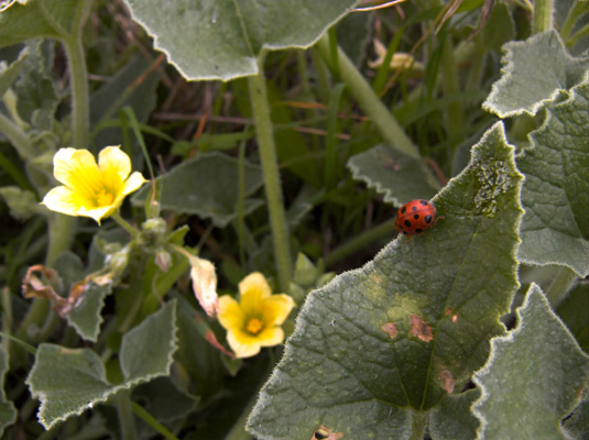 P1030063-01#.jpg