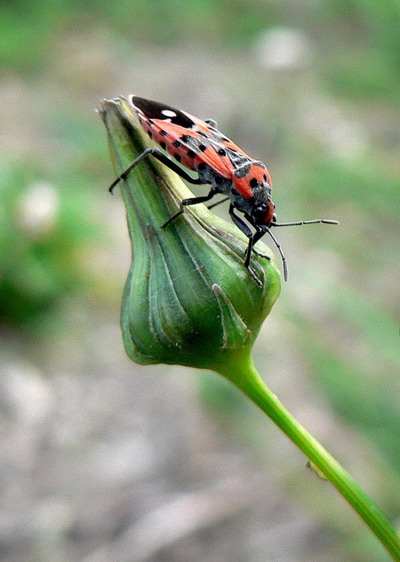 P1070328_.jpg