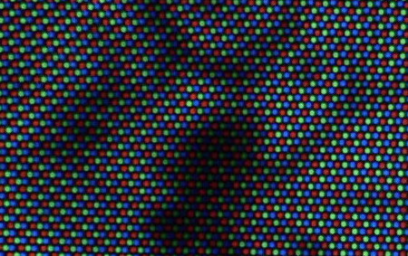 P1070868_.jpg