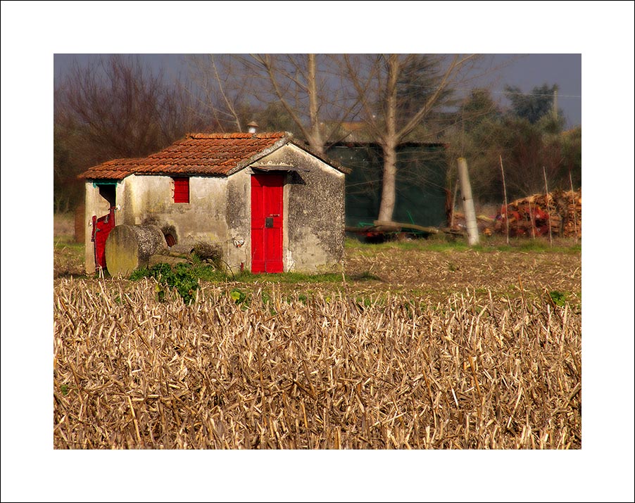 P1080583-1.jpg