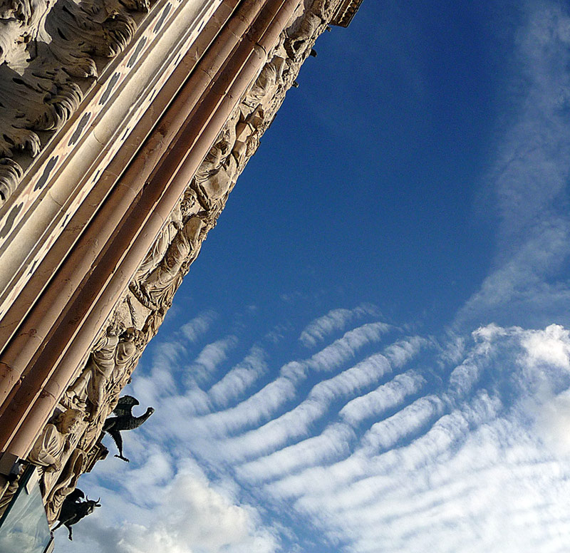 P1100363-ww.jpg
