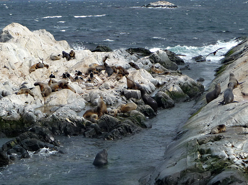 P1130389-ww.jpg