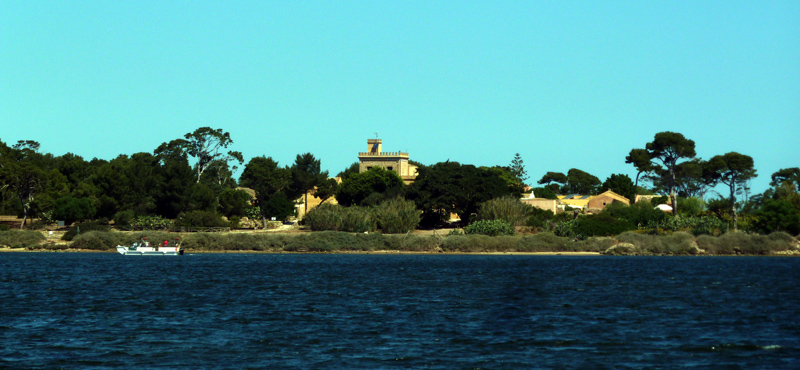 P1140078-n-03.jpg