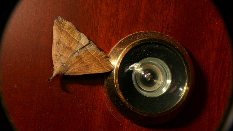 P1500542-1.JPG