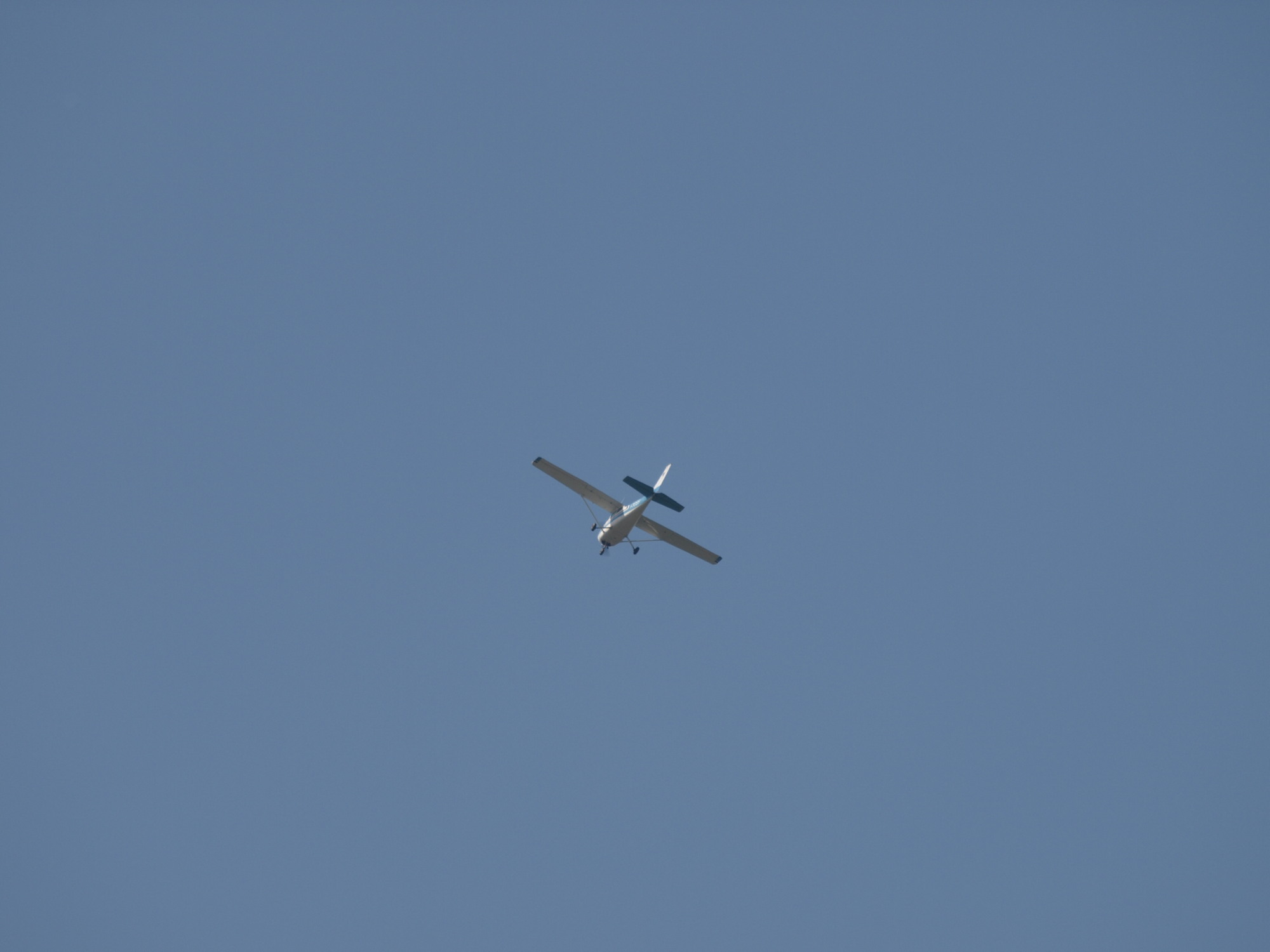 P4190358b.jpg