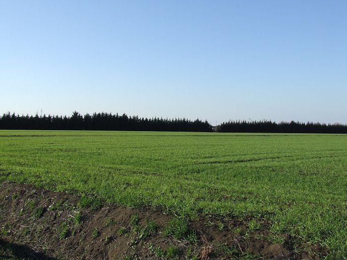 p4u - panorama1 - 38mm f5.jpg
