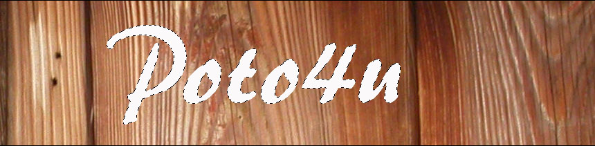 p4u_2.jpg