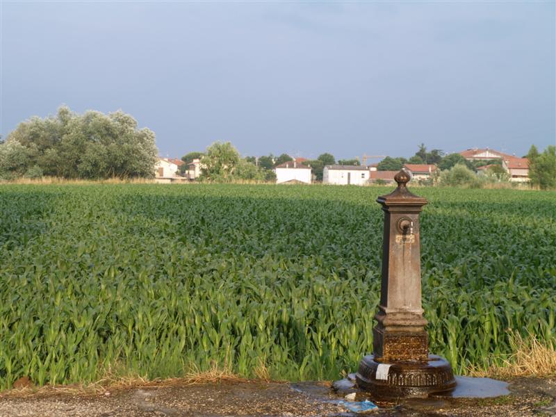 P6070218jpg (Medium).jpg