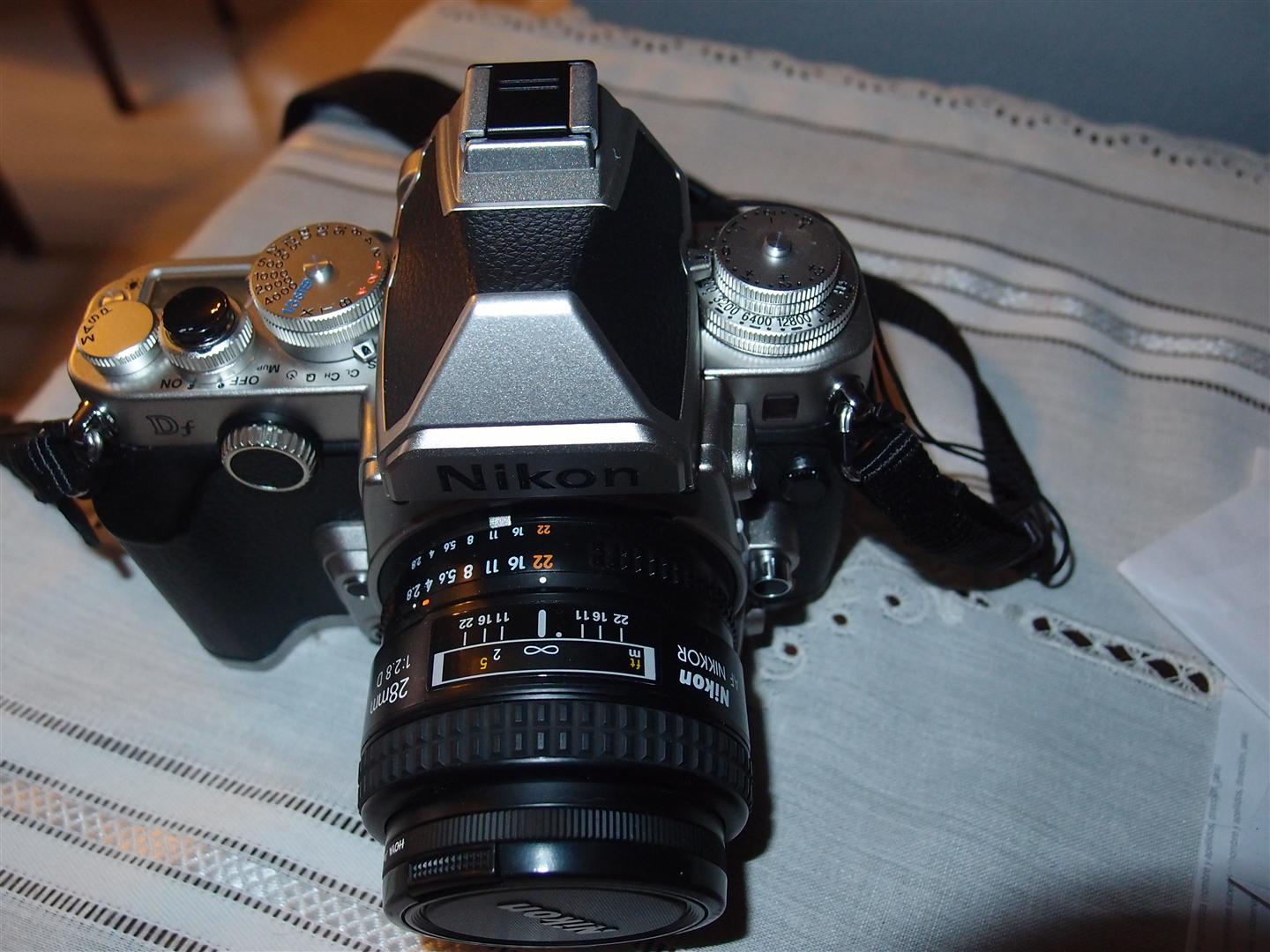 P9080154 (Large).JPG