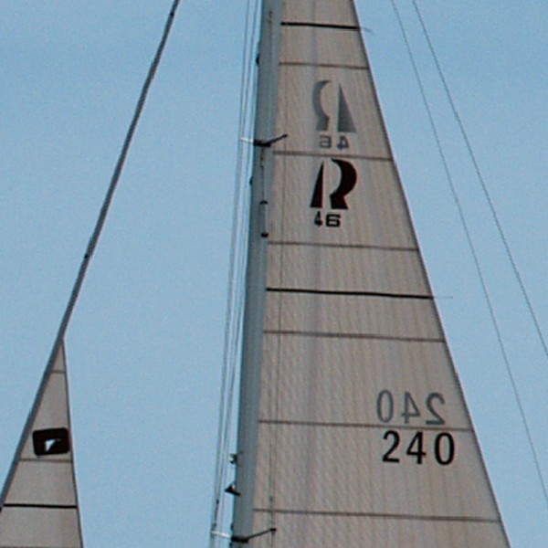 P9186278 crop 100%wtmk.jpg