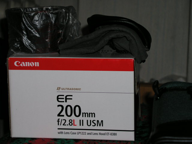PA210008.JPG