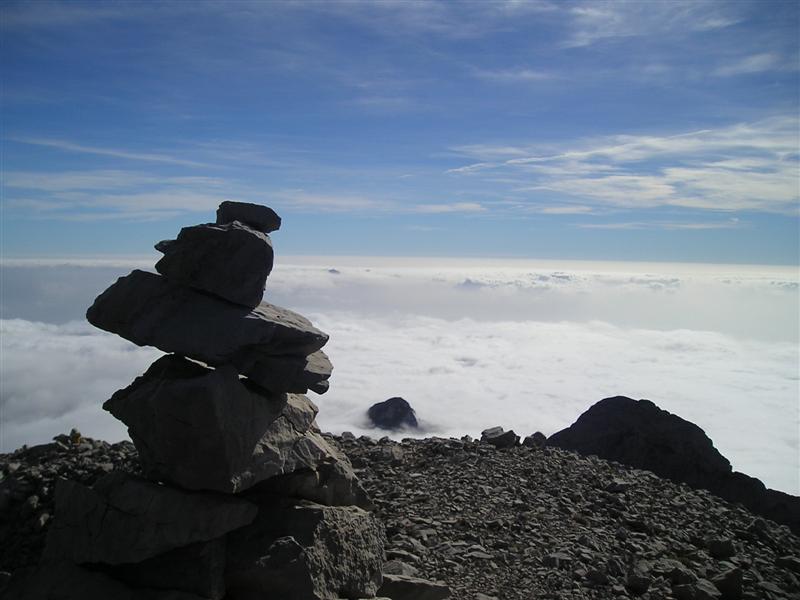 PA260080 (Medium).JPG