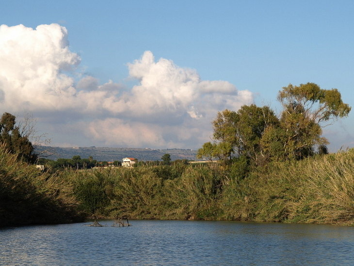 PA305648.JPG