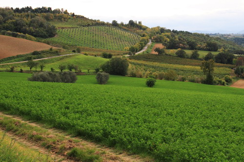 Paesaggi039.jpg