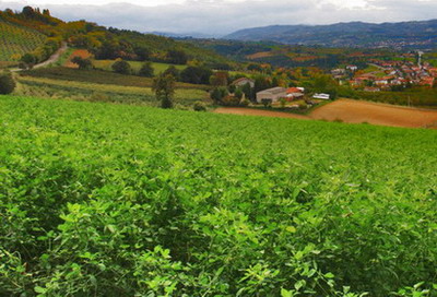 Paesaggi040.jpg
