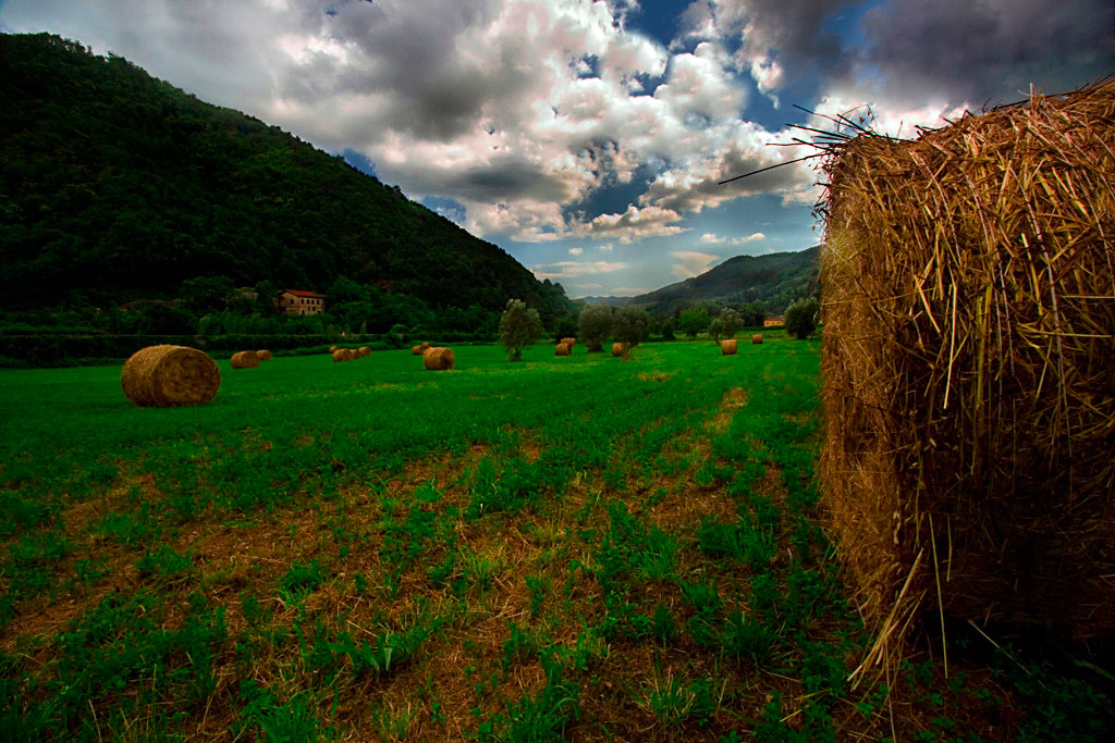 Paesaggio-(3)x-post.jpg