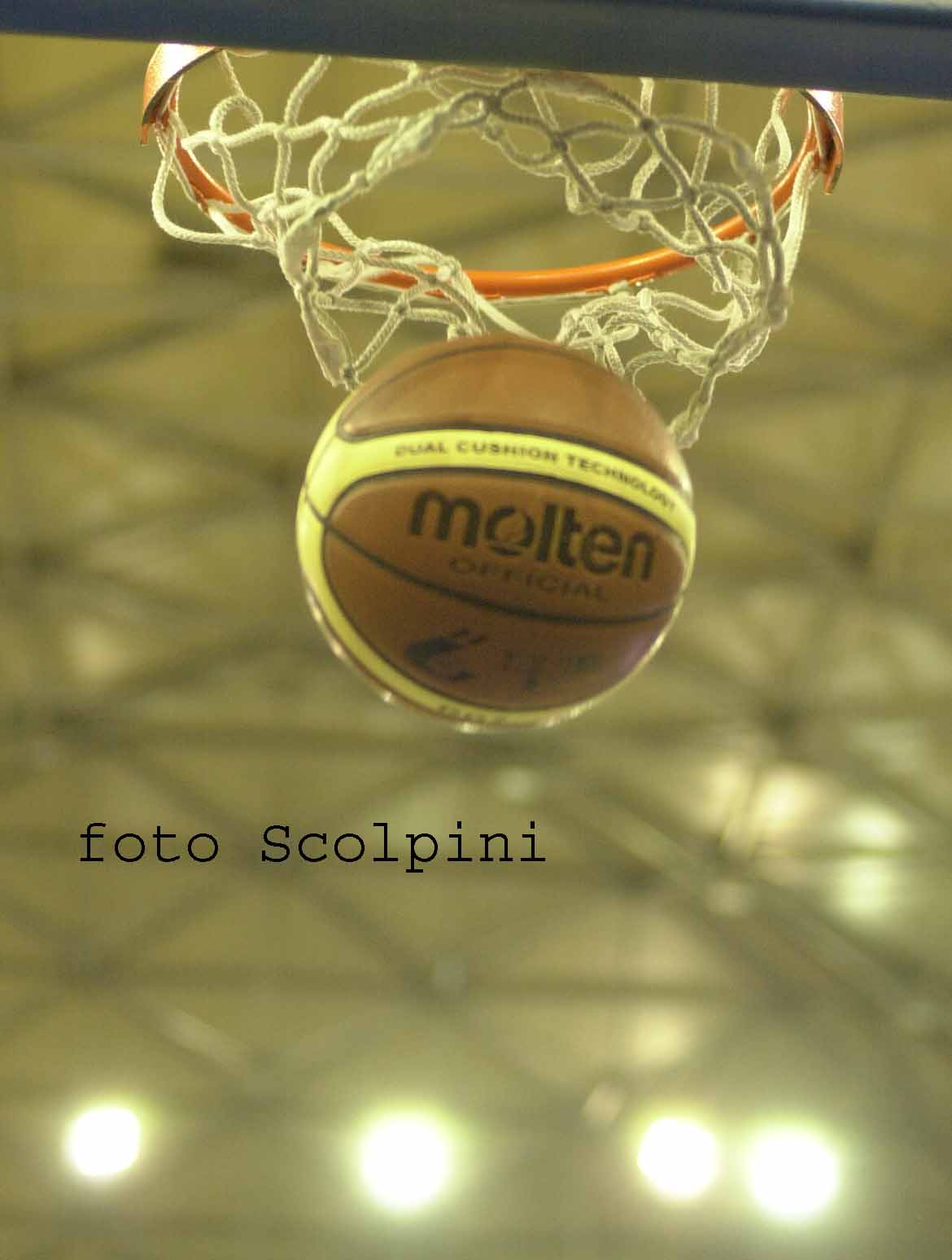 palla.jpg