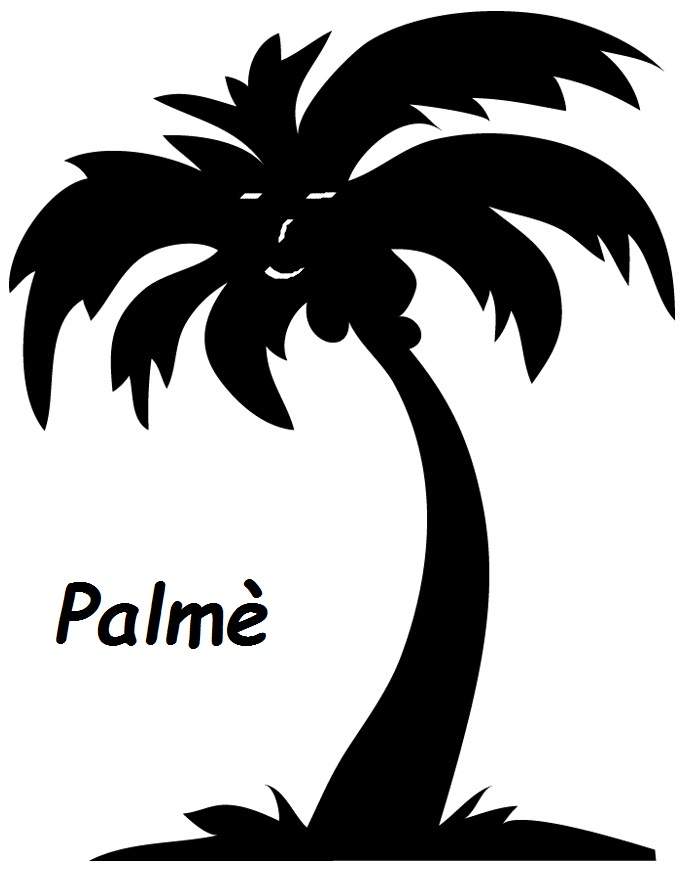 palm.jpg