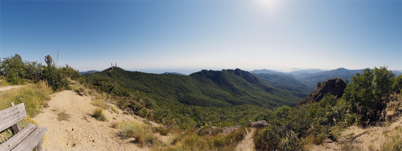 pano5.jpg