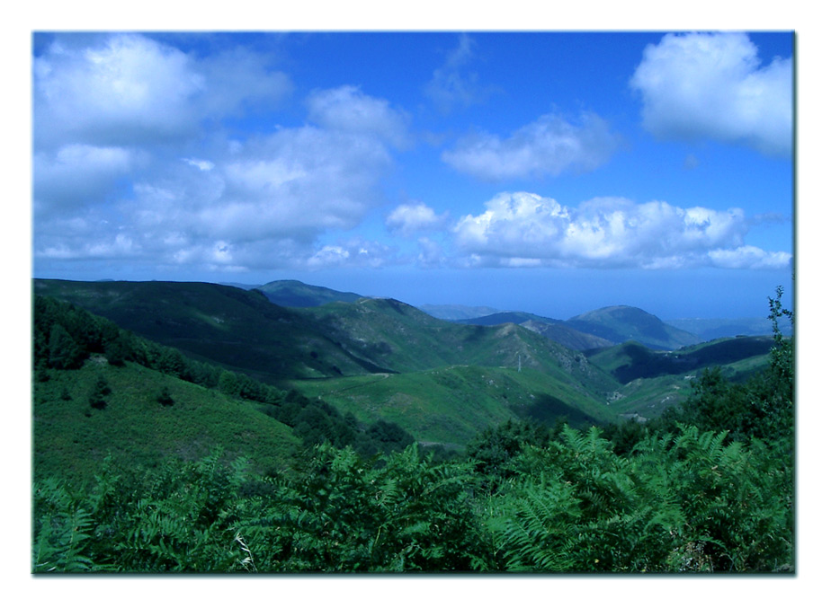 Panorama3.jpg